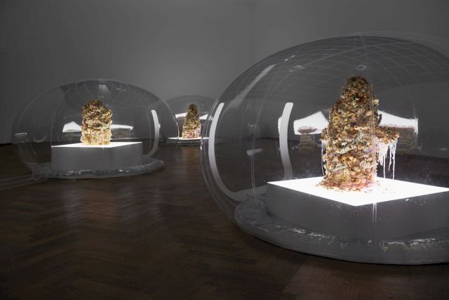 Anicka Yi, “ALZ/AZN”, 2015. Courtesy Rubell Family Collection, Miami