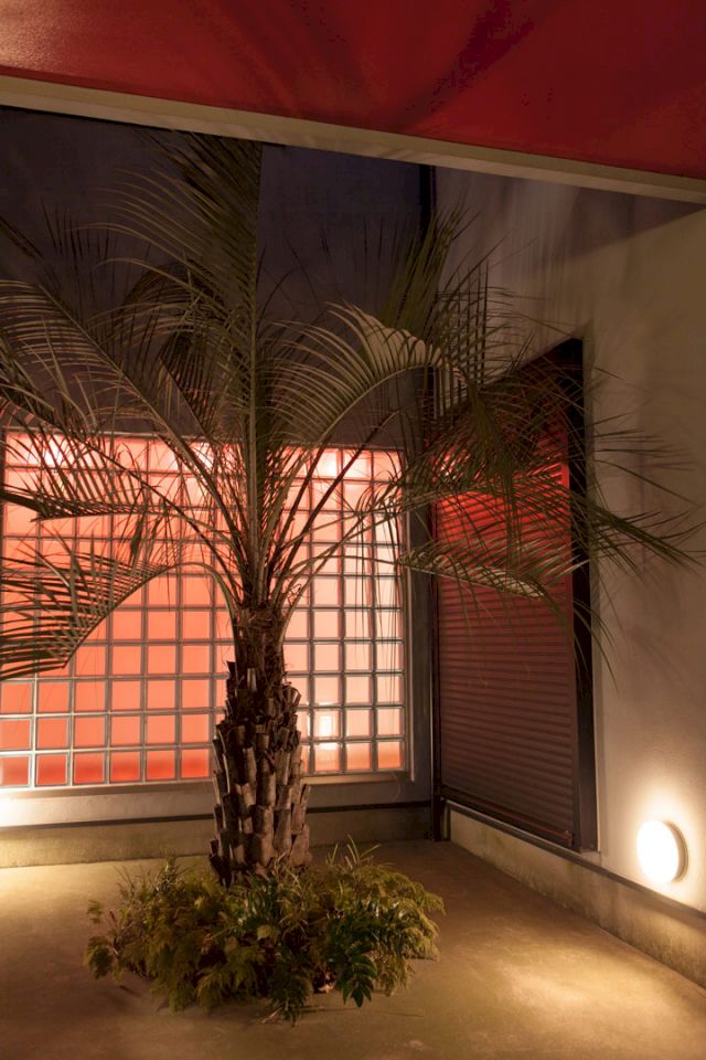 Installation view at Dream House, Ichikawa