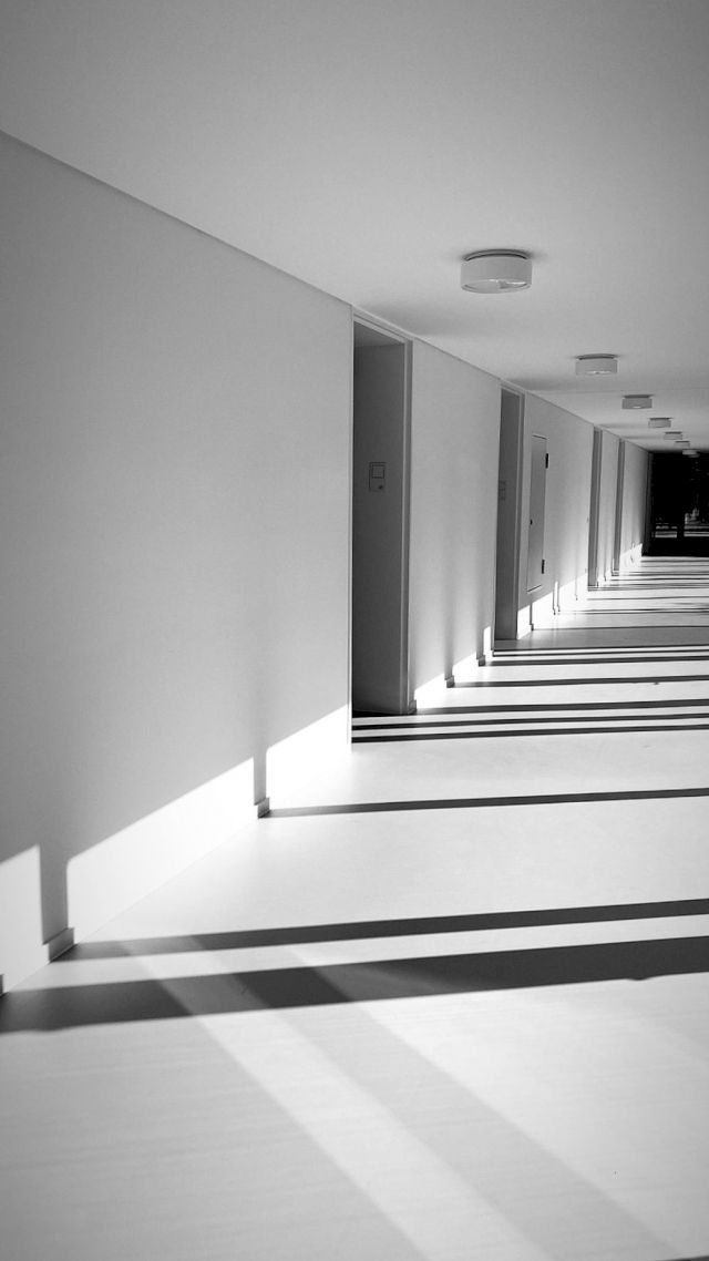 WAI Galleries. Photo: WAI/RR