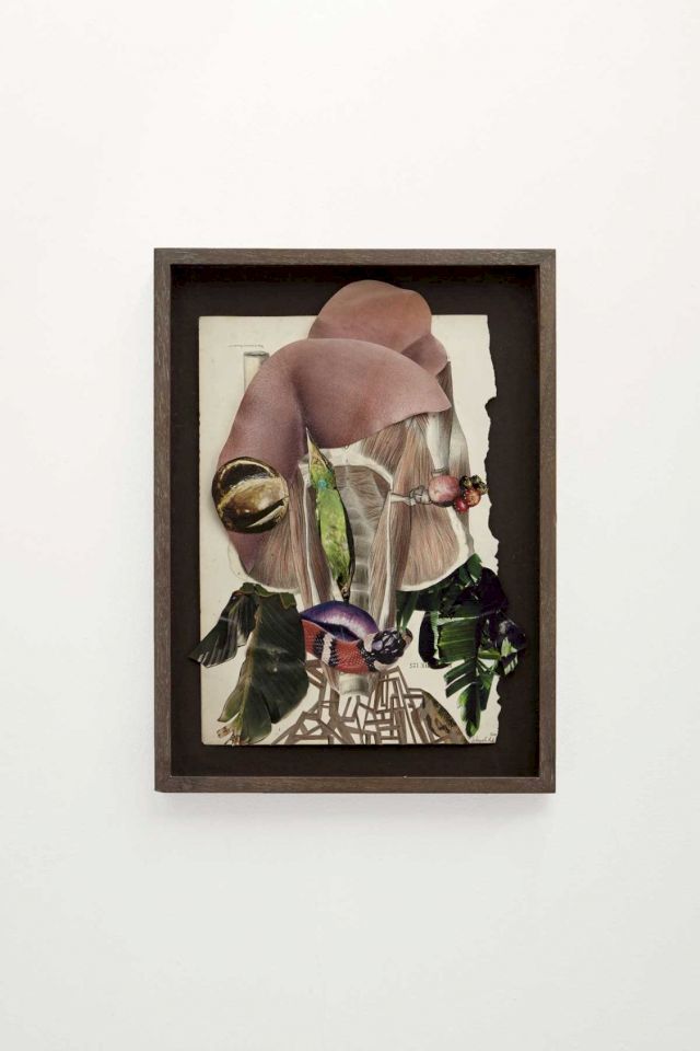 Wangechi Mutu, ’Sick Bird Syndrome’, 2011