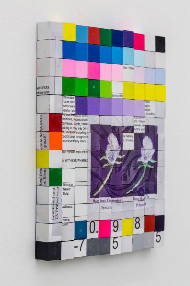 Brad Troemel, Certificate of Authenticity for Freecached: Counterfeit and Real Princess Di Beanie Baby, 2016