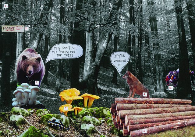 Polonca Lovsin, We Can't See. Courtesy P74 Gallery, Ljubljana