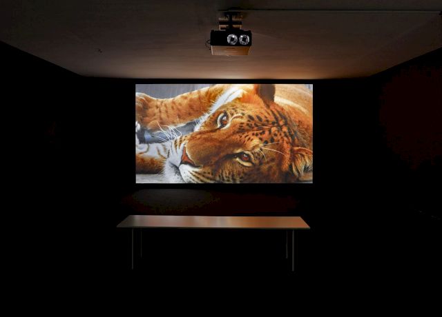 Anicka Yi, ’The Flavor Genome’, 2016.