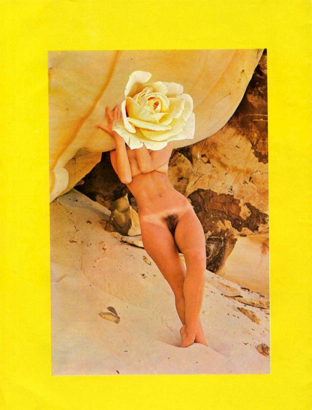 Linder, ’Star Series No 1 Moonraker’